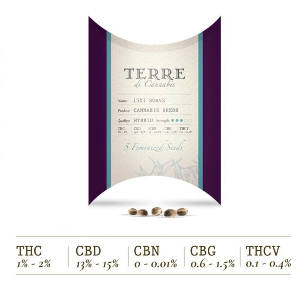 SOAVE Seeds