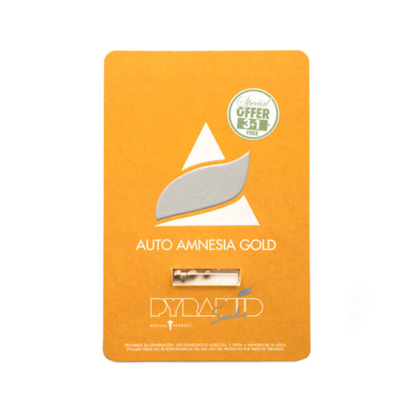 Pyramid Seeds | Αυτόματοι Σπόροι Κάνναβης - Auto Amnesia Gold - 3+1τεμ - συσκευασία προϊόντος